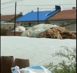 「二三里早八点」吉林市小区为居家隔离人员设专用垃圾桶;家长给孩子买蓝魔虾消解寂寞