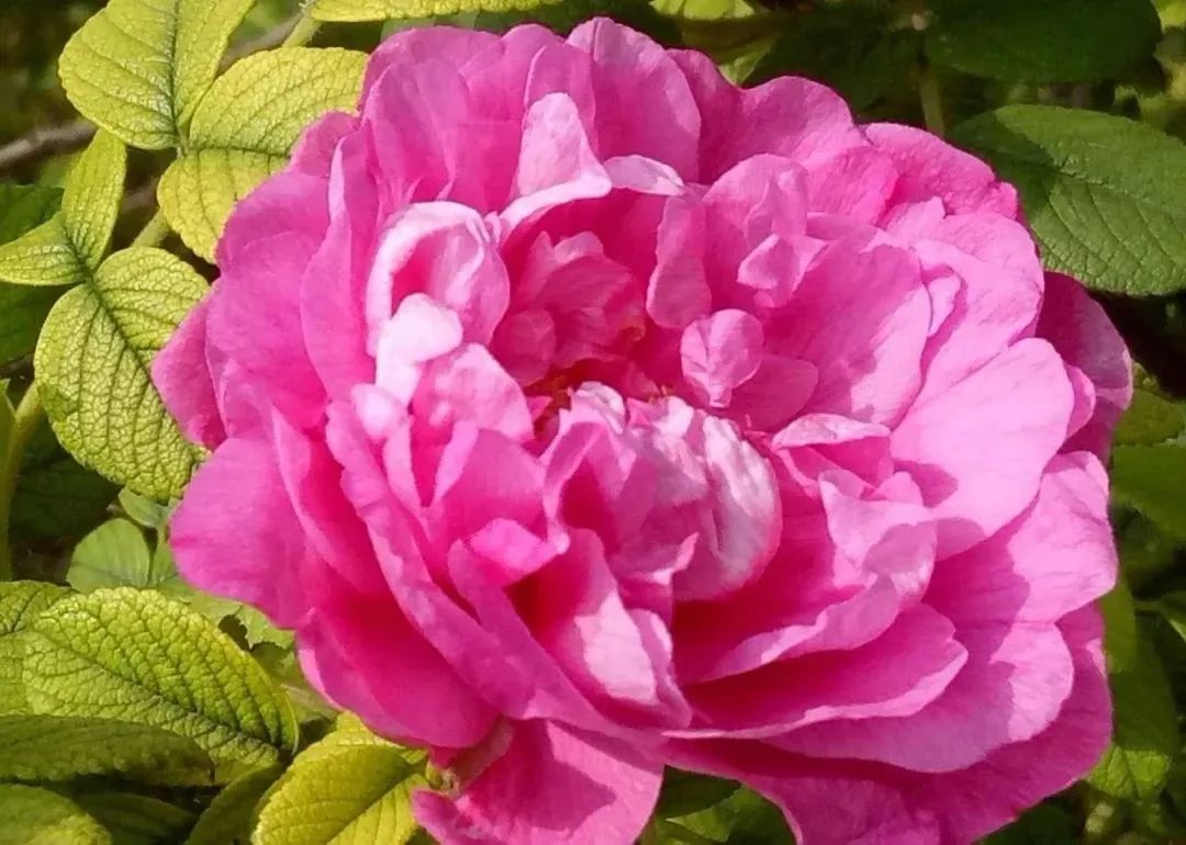 淄博博山区门票免费政策,淄博周边免票