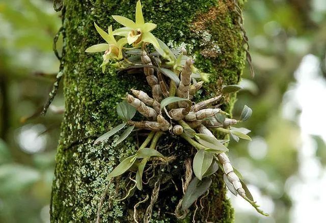 保险赔247万,保险理赔18000