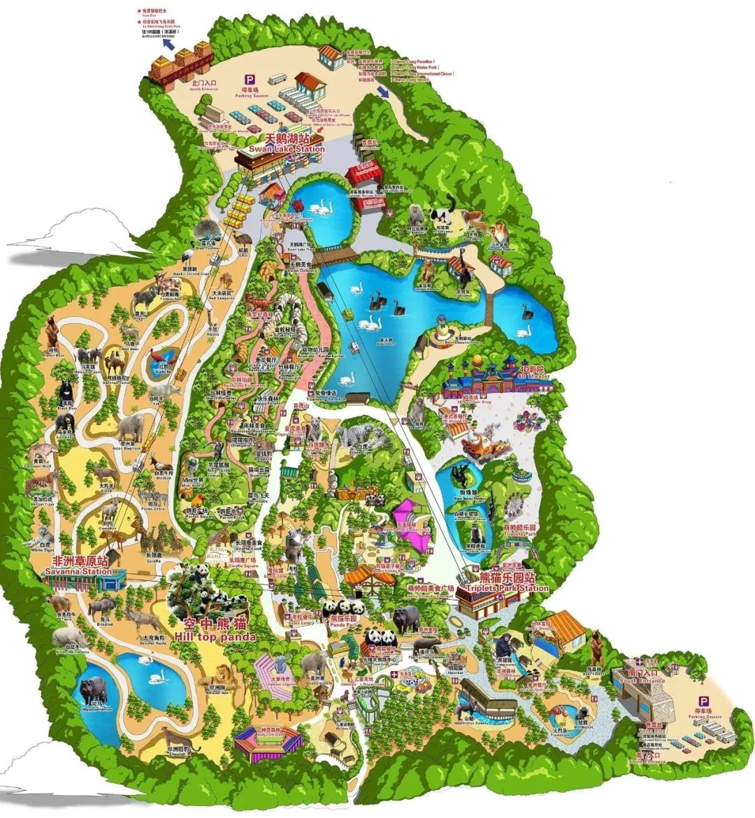 广州长隆野生动物世界何时建成,广州长隆野生动物园有白狮