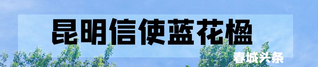 昆明网红打卡景点攻略,昆明最火网红打卡景点冬季