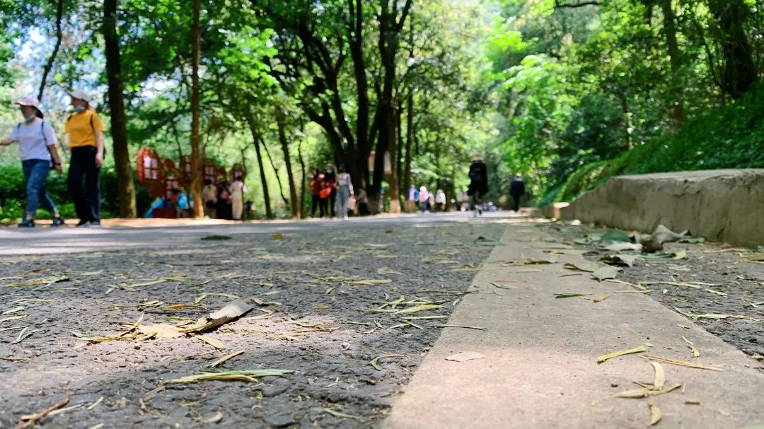 昆明网红打卡景点攻略,昆明最火网红打卡景点冬季