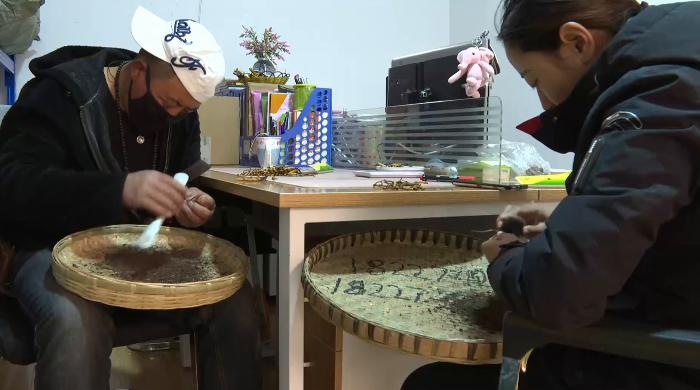 “软黄金”出土到上市！虫草商人的袖里乾坤竟是“摸手谈价”！