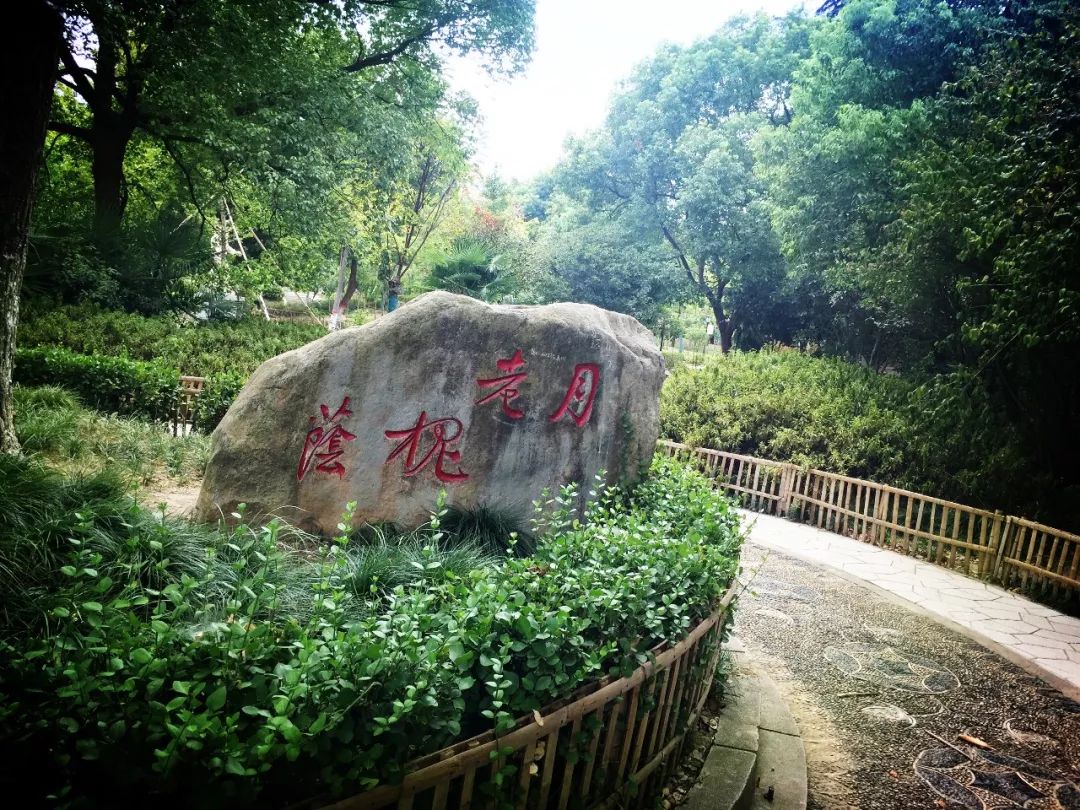 带上心爱的ta来一次浪漫之旅,快带上你的ta来一场浪漫旅行