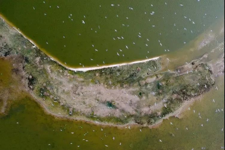 盐城最厉害的勺子,盐城铜勺子