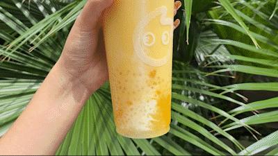 回忆杀大学生活,回忆杀黑糖