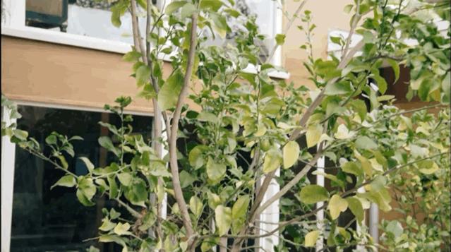 看了她们的家，我又有新梦想了