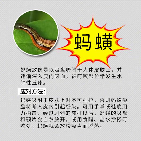 夏天防虫知识100条,夏季防虫叮咬小知识