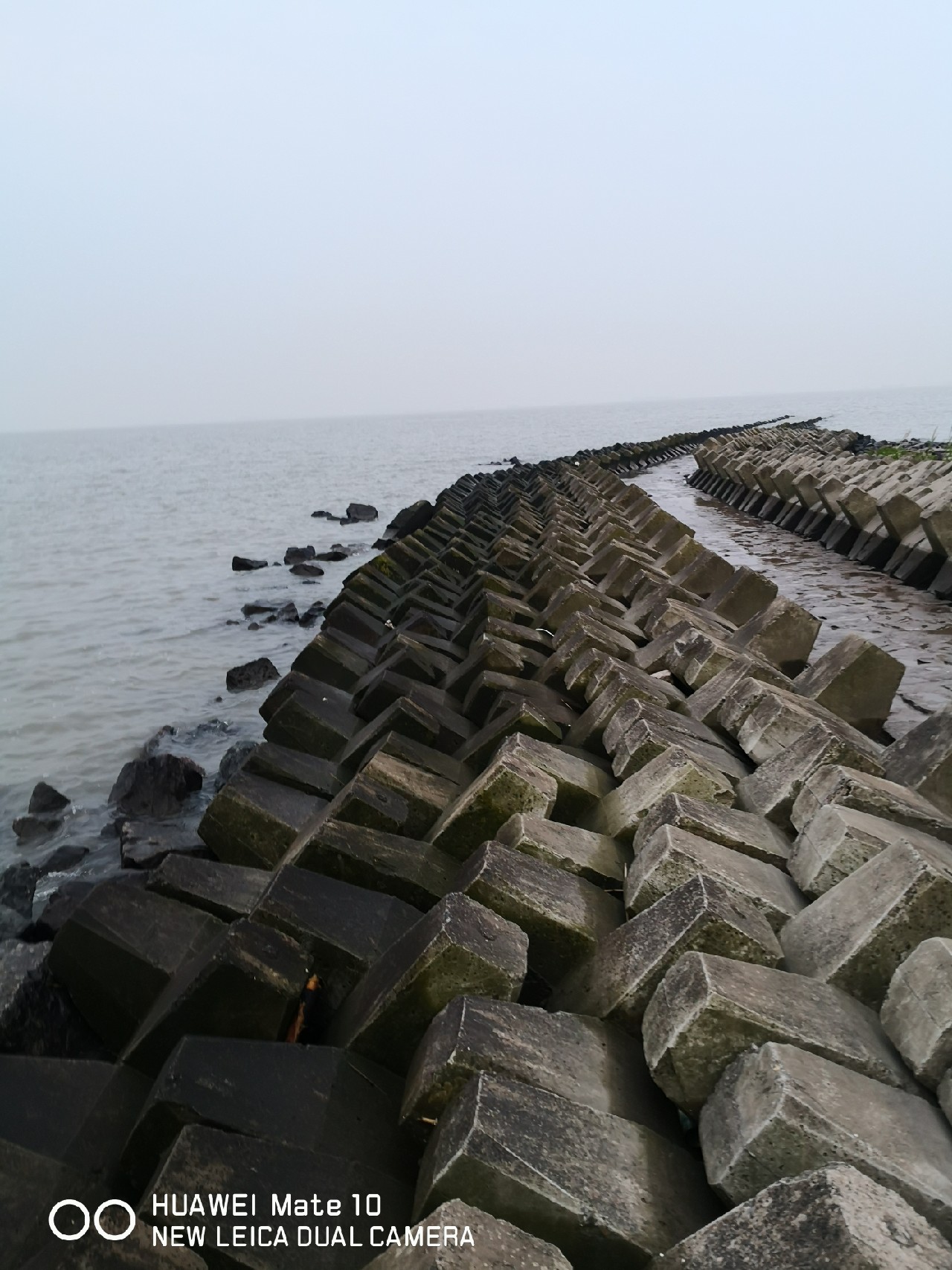 回复无疑是一种厚道,钓友在评论时也请少拍砖