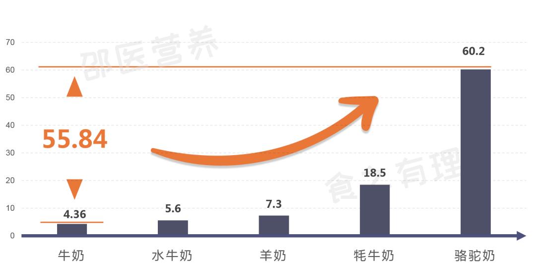 骆驼奶牛奶羊奶到底哪个好,牛奶羊奶骆驼奶哪个营养价值高