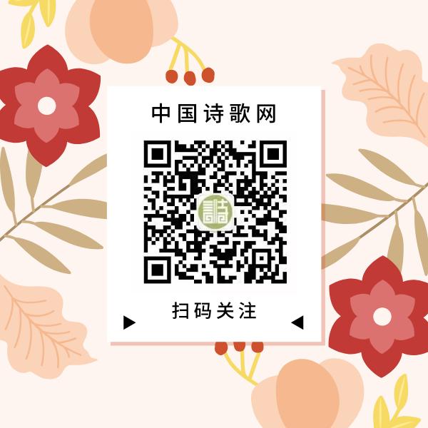 推荐有价值的公众号,比较小众有深度的公众号推荐