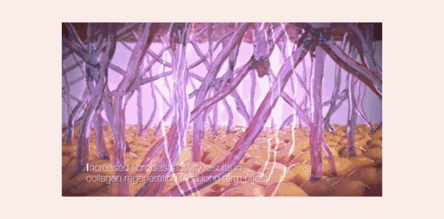 别犹豫了，最后一天，薅这些！（内附详细凑单方案）