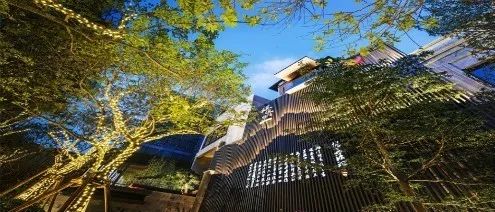 day9,day9的价目表