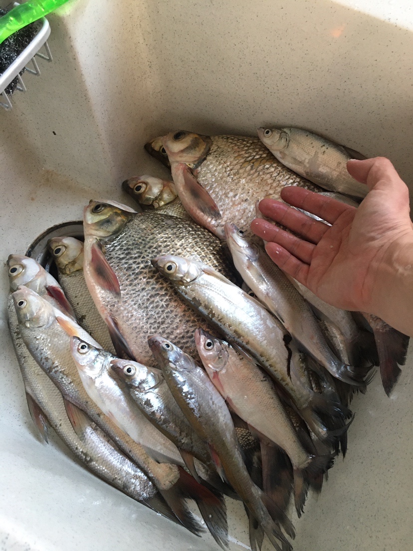 水库地形不好怎么甩大鞭,水库甩大鞭钓鱼