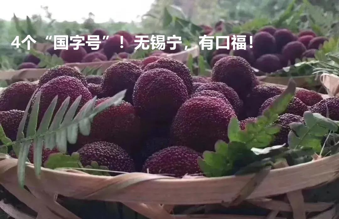 锡山八佰伴开业位置在哪,锡山八佰伴开业活动折扣