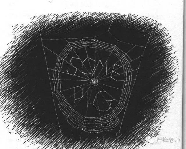 严锋的书单推荐,严锋必读书