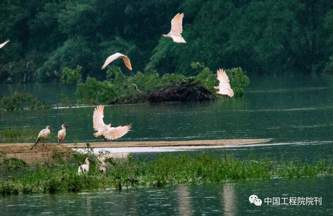 战略研究丨秦巴山脉区域水资源经济可持续发展研究