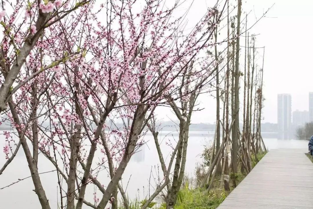 成都大学是什么级别的大学,成都大学和四川轻化工大学