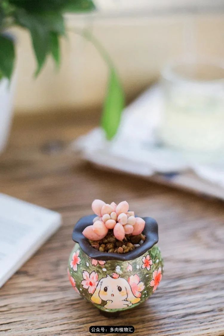 专注于自己喜欢的事情,专注于自己喜爱的事情