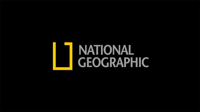 必看商标logo设计必须要注意的事,免费商标logo设计在线生成无水印