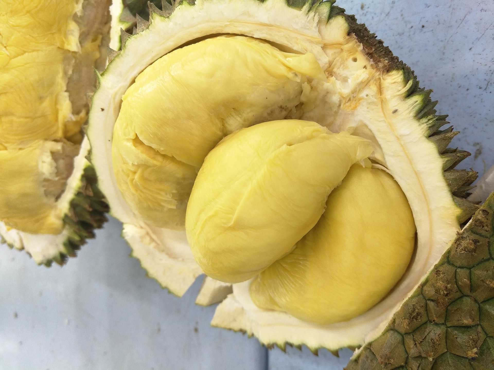 滴鸡精对胎儿有用吗,滴鸡精可以补气血吗