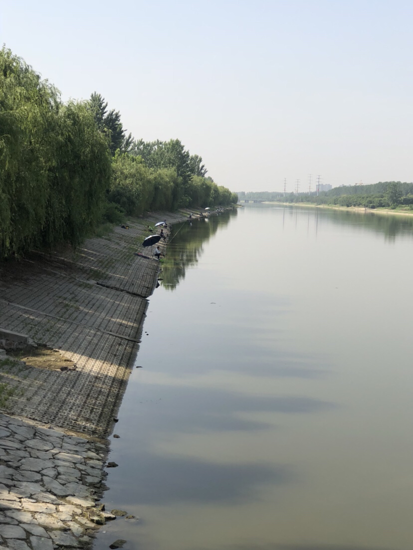 新路亚鱼竿到手要干嘛,新路亚竿子到手硬吗