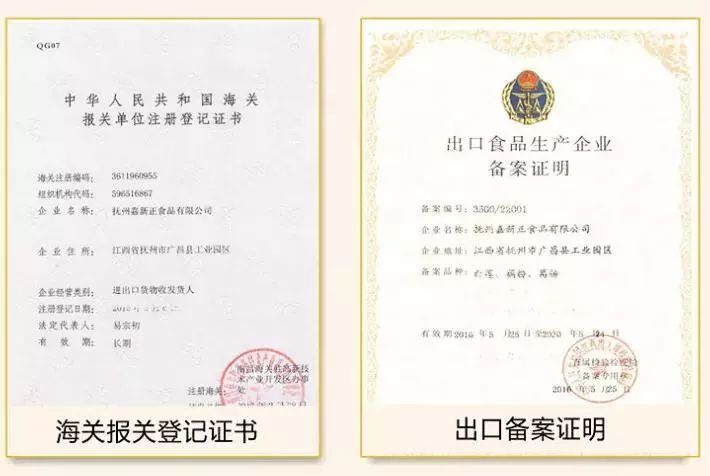 今天用100斤藕教大家自制藕粉,一斤藕粉需要几斤鲜藕来制作