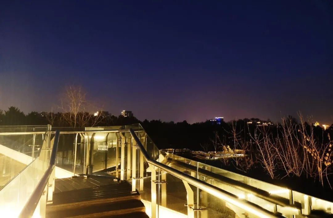 长春打卡景点晚上,去长春必打卡的地方