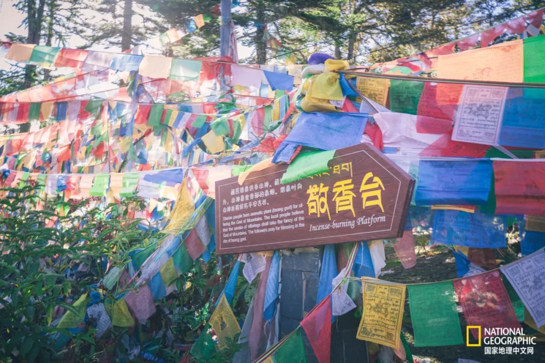 雨崩村自驾转山攻略,雨崩转山朝圣之旅