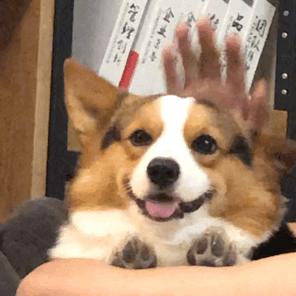 苏州24小时门诊,苏州60个门诊