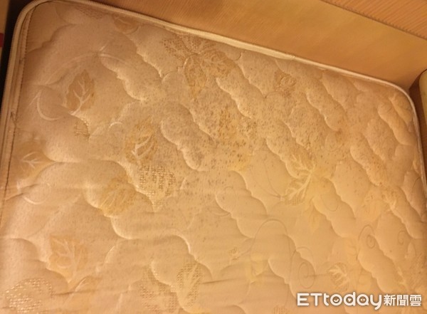 7岁妹脸肿被讥“屎坑面包超人”！母挖墙发现卧室渗粪水