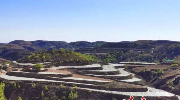 五里湾便民服务中心,五里湾便民中心