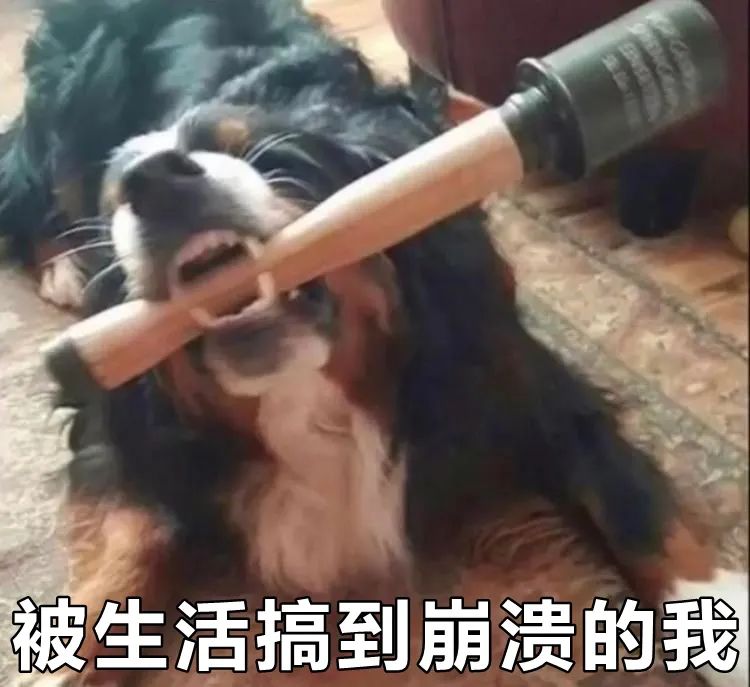 职场中吐槽老板,朋友圈吐槽老板被老板看见怎么办