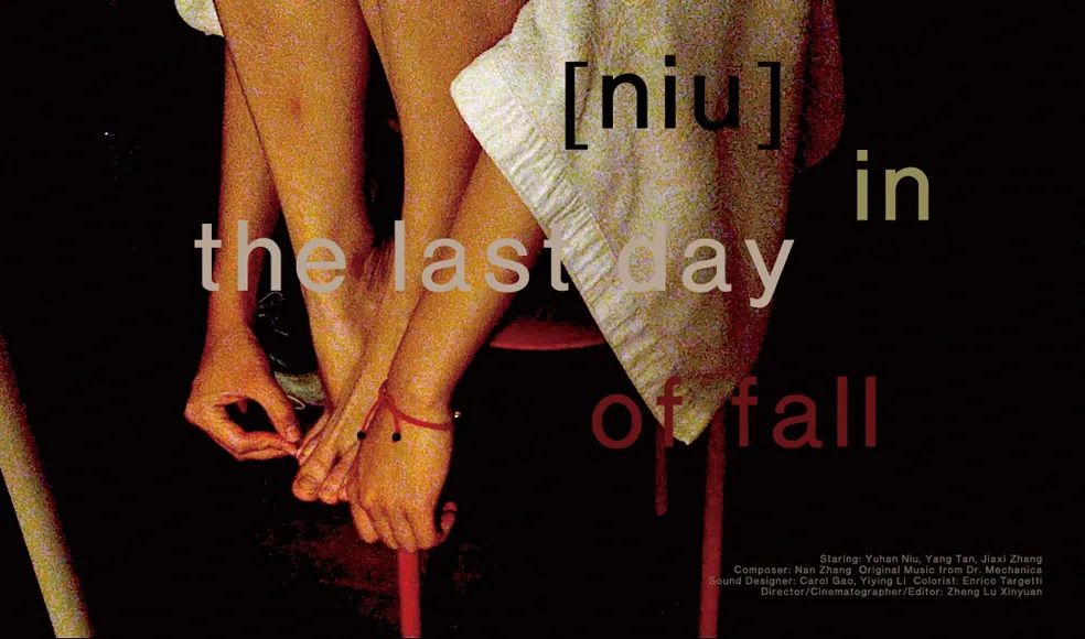 张献民河南,张献民视频大全