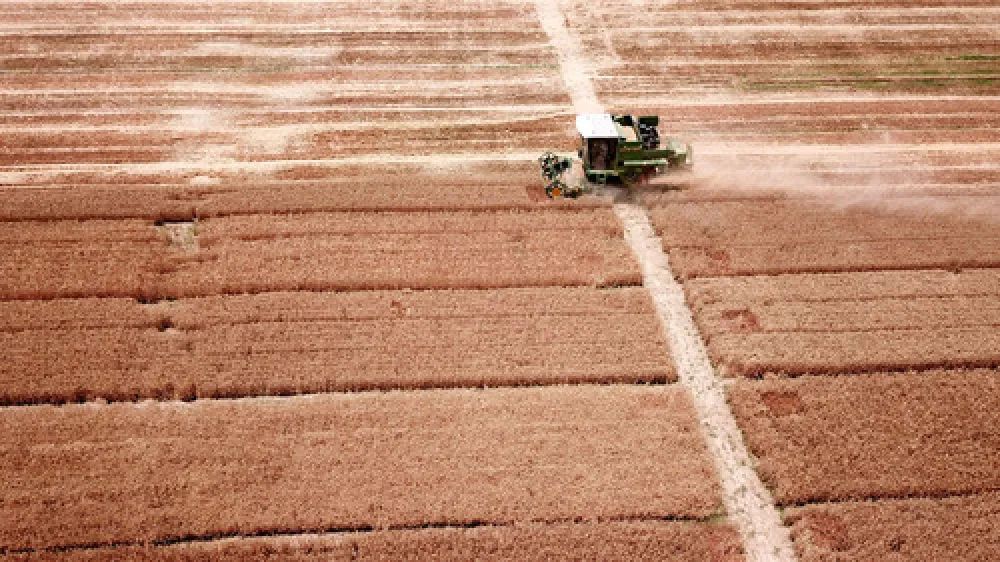 齐心鲁力丨李存良不存粮