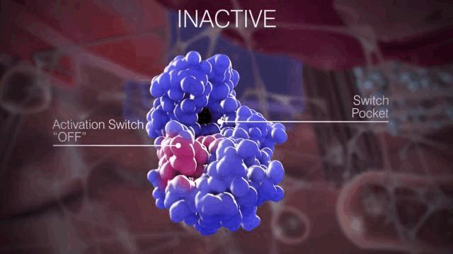 卡死癌细胞的发动机！全球首个广谱KIT*制剂抑**获得FDA批准上市，它杀死癌细胞的方式很特别丨奇点深度