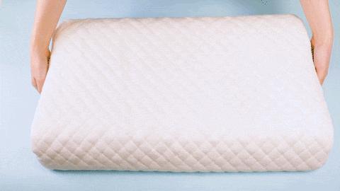 我不允许你花一分钱完整版,我不允许你们花一分钱什么梗