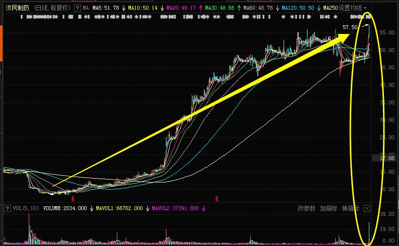 小散抄底跌停,小散炒股的悲惨历程