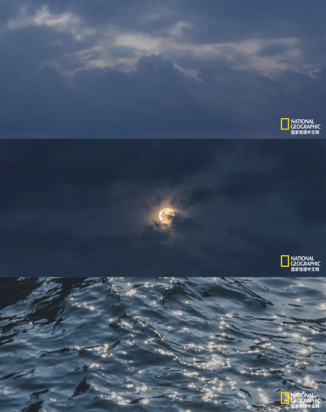 有一种异域风情的美,有一种前所未有的力量充斥着我