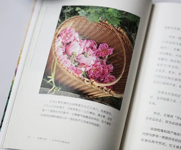 梦露睡衣香奈儿,玛丽莲梦露喜欢香奈儿5号