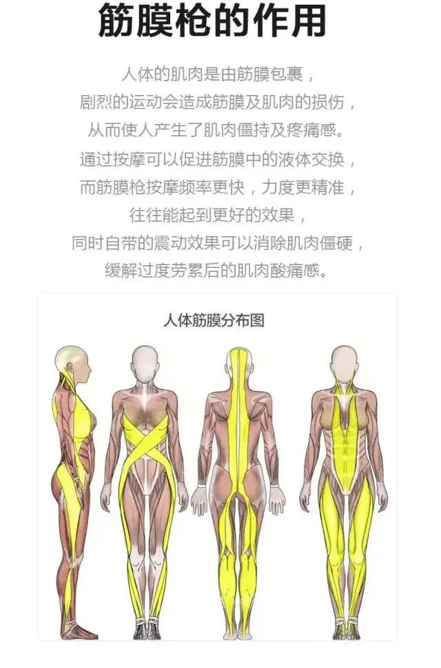 全世界明星都在用的筋膜枪，不爱运动的我也需要吗？