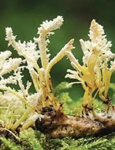 618必买的10件实用好物,618你们的购物清单