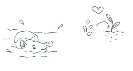 邕小环讲生态故事｜竹子的馈赠：土种树，木养土。竹子的功劳，你知不知道？