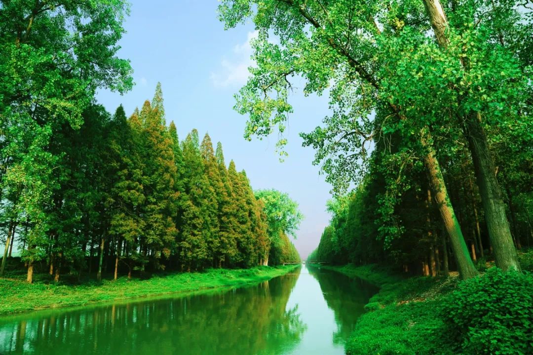 湖北最美环湖绿道徒步,十大最美绿道骑行