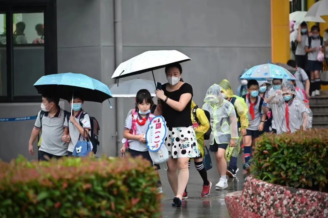 2017年小学学校师德师风工作,小学教师师德师风专题研讨