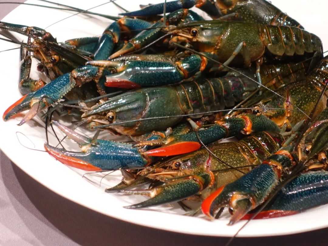 上海最好吃的中餐排名,上海外滩两个人中餐推荐