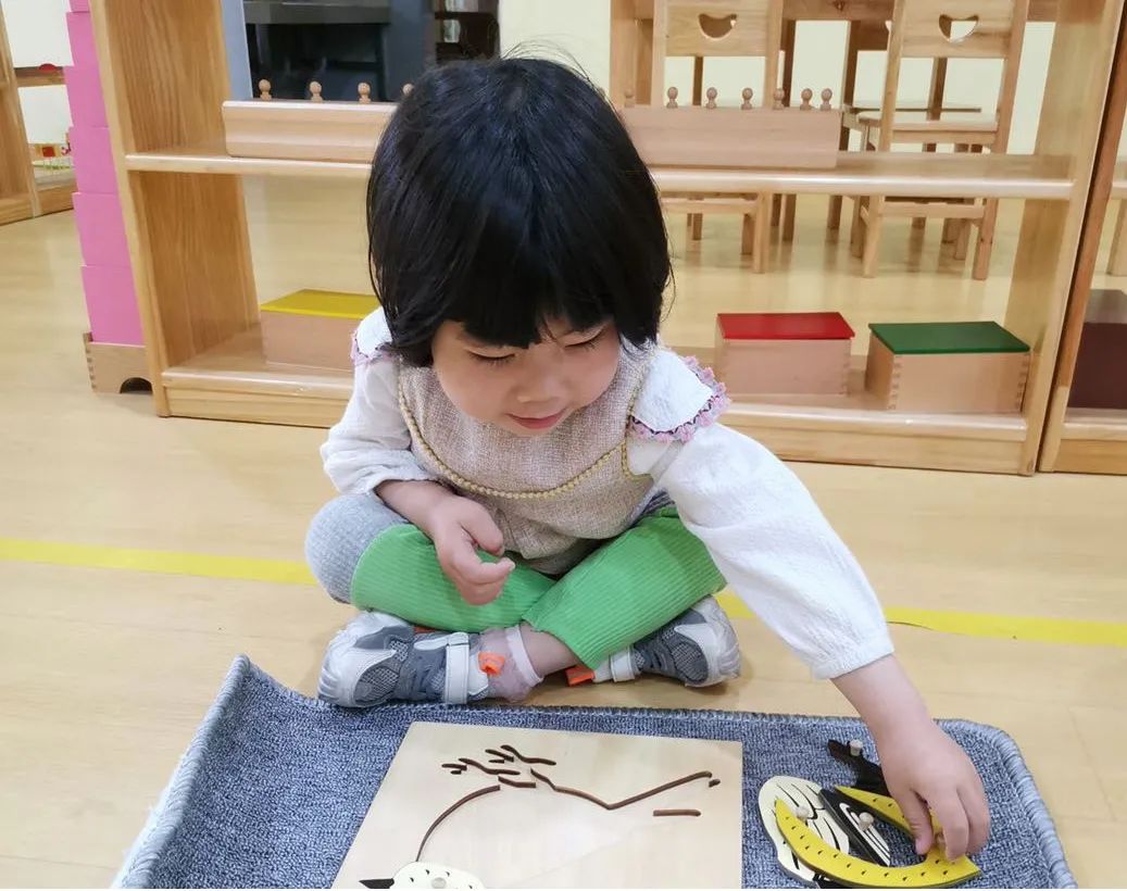 上海西外幼儿园,上海西外幼儿园怎么样