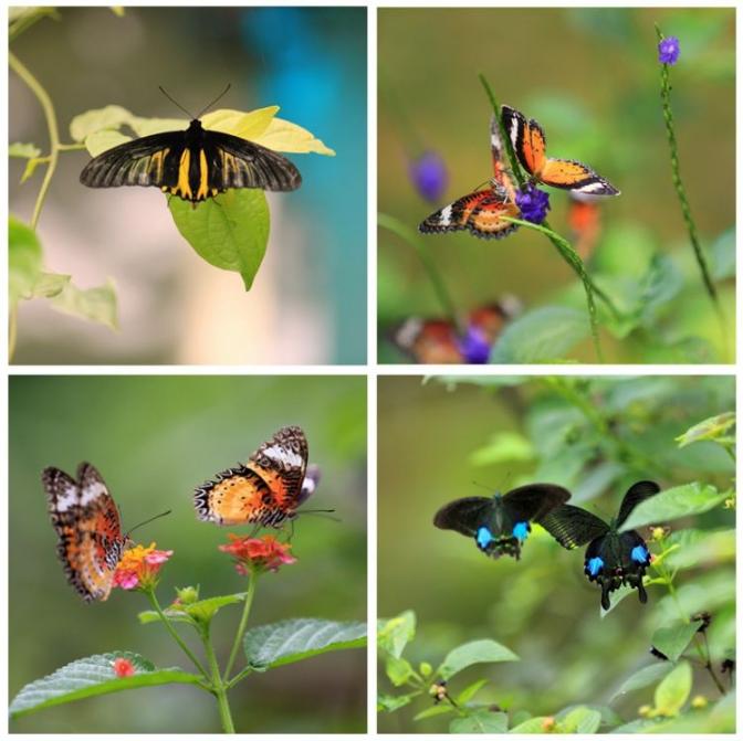 好玩的端午游活动,好玩的端午假期