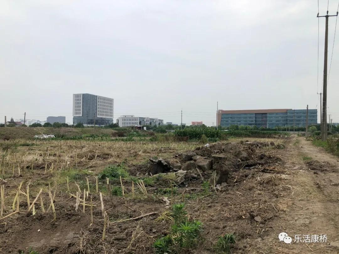 康桥镇学生日记,康桥日记内容