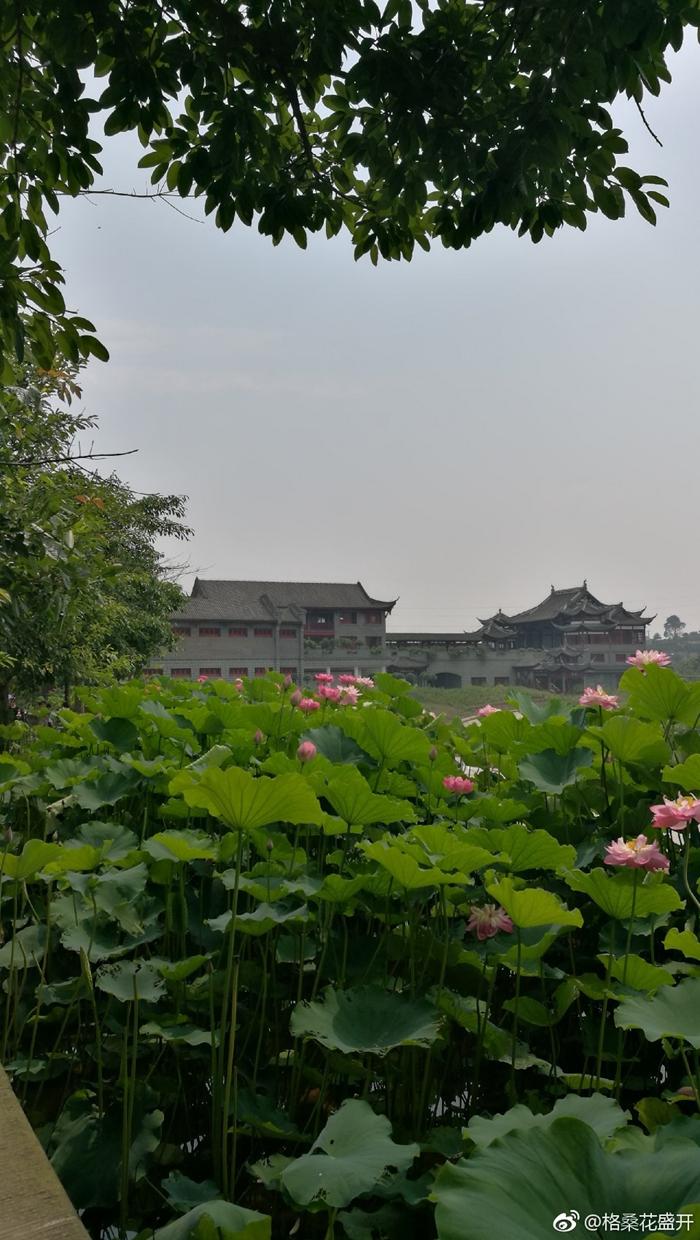 火了火了！成都又新添一个区，地铁10号线直达！夏日纳凉、吃河鲜…3日郊游路线，安排→